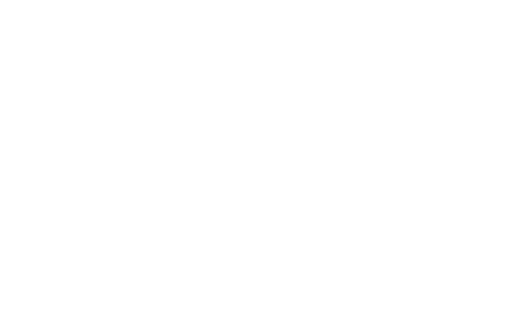 SSP_Primary_Logo_White